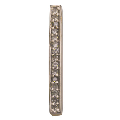 Classy Cubic Zirconia Charm