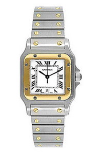 Cartier - Santos