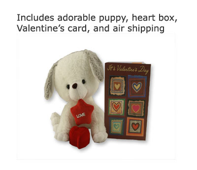 Valentine's Puppy Gift Package