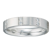 Double Diamond Pave 14K White Gold Brush Finish Eternity Band