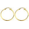 14K Yellow Gold 2mm Hoops Earrings 30mm