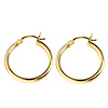 14k Yellow Gold 2.5mm Hoops Earrings 25mm