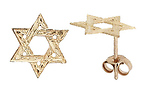 Star of David Post Earrings