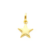 Yellow Gold Star Charm