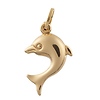 Dolphin Charm