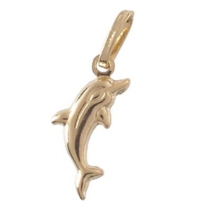 Dolphin Charm