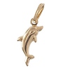 Dolphin Charm