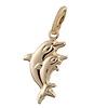 Dolphin Charm