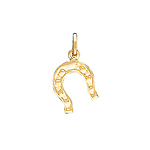 Horseshoe Charm