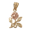 Two Tone Rose Charm