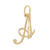 Script Initial Gold Charm