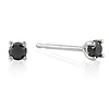 1/4 CT Black Diamond TW Stud Earrings 14k Gold White 14k Gold White I2;I3